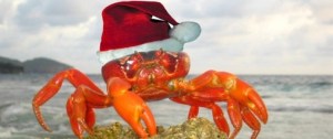 redcrab