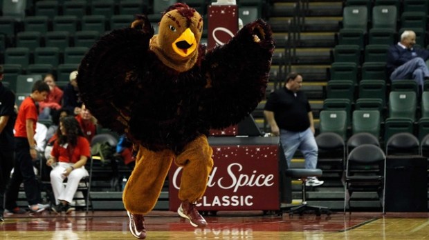 thumbjpg-3504106_frame_01_640x360