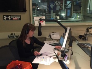 Voila_Capture-2017-04-10_03-36-49_PM