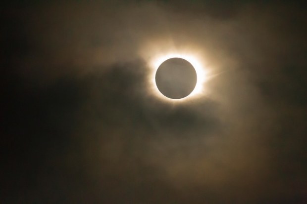 borowitz-trump-sun-blocking-moon